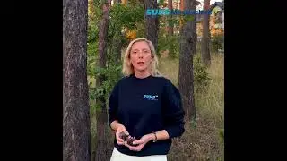 SUUS Masterclass webinar/Rozporządzenie EUDR o wylesianiu