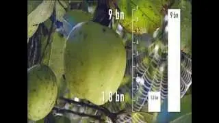 Austria's agriculture - growing the future