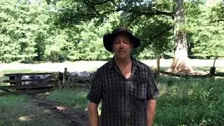 Ich bin ein Heidjer | Urlaubstipp von Sch&auml;fer Kuhlmann