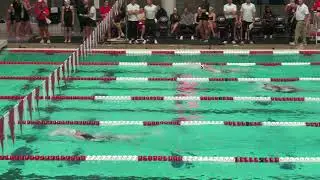 2026 UGA vs ARK vs FSU Women's 200 Yard IM Heat 2