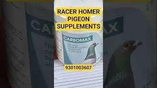 Racer Homer #pigeon supplements