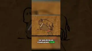 F&oacute;rmula Secreta: Salvando a Jack, El Perro Pastor con Hierbas #shorts