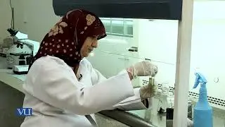 Production of Enzyme (Alpha-Amylase) by Submerged Fermentation | BT513P_Topic010