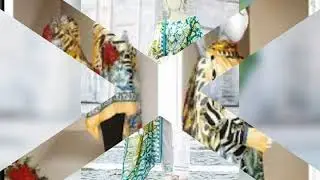 J. 2020 Summer collection & kurti ideas