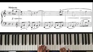 A Short Story (Suzuki Piano Vol.2 No.2) c/metrónomo (60-100) y partitura