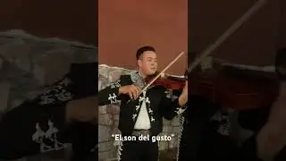&ldquo;El son del gusto&rdquo; #mariachi #mariachimusic #musica #mariachilife #folklore #viralvideo #music