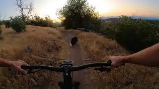 West Side Trail - June 24, 2025