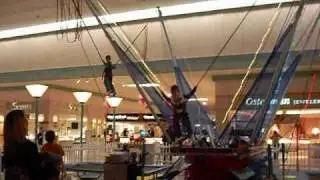 Shane Bungie Bouncing