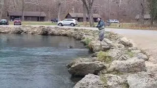 Trout Destroy the Mop Fly at Bennett Spring State Park @letsgoexplorin