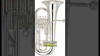 Baritone vs Euphonium: What&rsquo;s the REAL Difference? #euphonium #baritone #brassband #trumpet #tuba