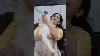 Bigg Boss Ramya Moksha & Her Brother Moksha 🐶 | Now You Know Why She&rsquo;s Called Ramya Moksha! 🥹 #yt