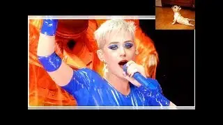 Who&rsquo;s the Major Label CEO Who Claimed That Dr. Luke Raped Katy Perry?