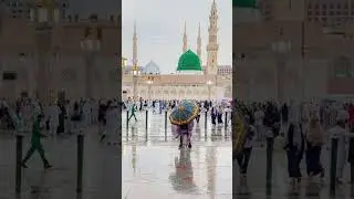 dil bi ali jan bi ali ..... #viral #youtubeshorts