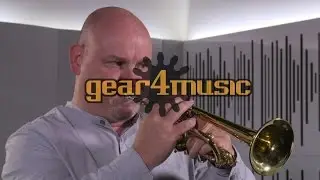 Coppergate D/Eb Trumpet by Gear4music