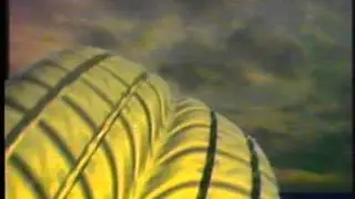 LBTVc Goodyear Aquatred Documentary