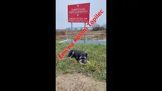 Emi na Koloni Topilec