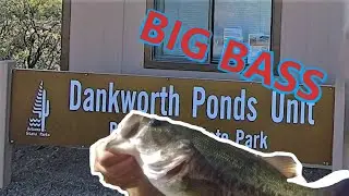 Catching Nice Bass at Dankworth Pond