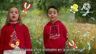 Todo sobre la primavera