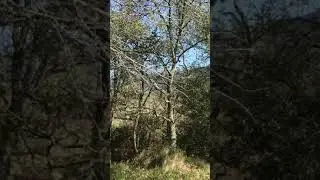 Petite Balade au c&oelig;ur des G&icirc;tes du Domaine Pedra Llampada au calme 6/7 entre mer et montagne