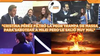 CRISTINA PÉREZ FILTRÓ LA TRAMPA DE MASSA CON SABOTAJE A MILEI PERO LE SALIÓ EL TIRO POR LA CULATA