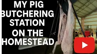 Easiest Whole Hog Butcher Station: Tips to do it YOURSELF