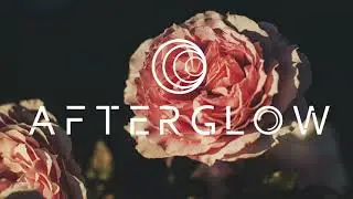 Pretty Pink feat. Gracie Thunder - Echo