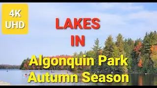 Lakes in Algonquin Park | Algonquin Park Autumn Season | 4KUHD