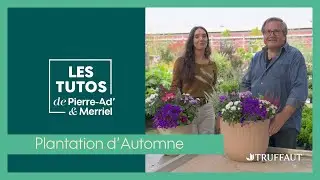 Que planter en automne ? 🌾 - Truffaut