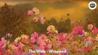 The Walk - Wrapped (grunge/alternative rock)