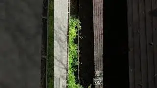 This Is Why Your Gutters Overflow&hellip; 😬 Caught by Drone!