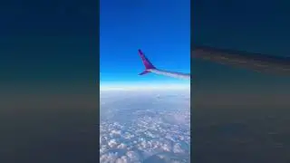 Flight ✈️ #trending #viral #youtube #shorts #flight