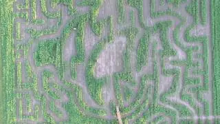 More aerial videos of the Red House Farm maize maze