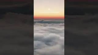 A Moment of Tranquility