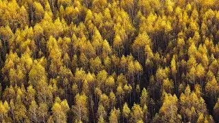AKI Amano - Streamlines [Silk Music]