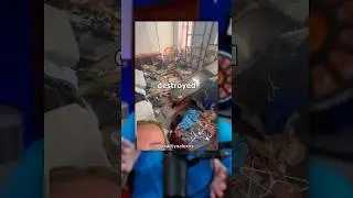 Her Ex Completely Destroyed Her House 😳