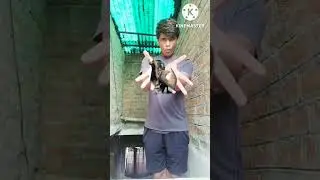 magic of the BFX🤣😂shorts#