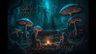 Song of the Week - Cold Cold Night - Dead Man's Dog Live from Weematuk Lake, Illinois July 2023