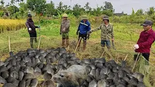 Cả Năm Mới Có 1 Lần Được Bắt Chuột Thế Này Thôi, Nên Có Mưa Gió Cũng Không Là Gì Hết