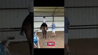 Improving a Thoroughbred&rsquo;s Quality of Gaits