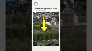 Участник группы Bad Bunny &laquo;BUSHES&raquo; был замечен танцующим во время своего выступления на Суперкубке 🤣