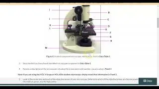 Botany Lab 1 Explained