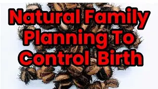 Natural Family Planning With Castor Seeds &ndash; Safe & Effective Birth Control!