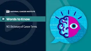 Tumor-Infiltrating Lymphocyte Therapy | Words to Know, NCI Dictionary of Cancer Terms
