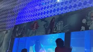Angul festival event ful video watch for you😘😗😘😘