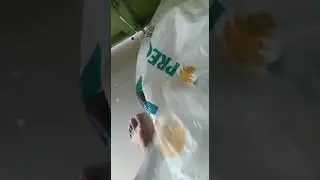 pakan ikan lele pelet pabrik MS PRIMA FEED