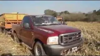 FORD F-100 CON 5 MIL KILOS
