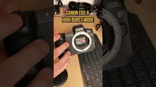 Canon EOS R High Burst Mode ASMR!📸😮 #canon #photography #asmr #satisfying