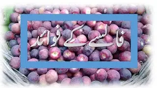 Falsa ke fawaid  فالسہ کے فوائد