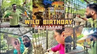 BALI SAFARI Birthday Experience and It Got WILD! 🐯🎉 | Animal Feeding | Full Tour + Wild Moments 🦁 
