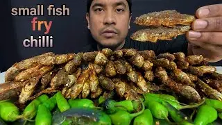 SMALL FISH FRY & SPICY CHILLI EATING VIDEOS | ASMR EATING SMALL FISH FRY | SMALL FISH FRY MUKBANG